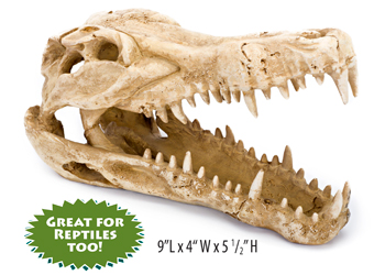 Crocodile Skull Aquarium Ornament