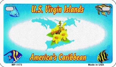 Smart Blonde MP-1173 US Virgin Islands Background Metal Novelty Motorcycle License Plate Smart Blonde MP-1173 US Virgin Islands Background Metal Novelty Motorcycle License Plate