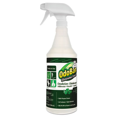 910062qc12 Derizer Disinfectant Spray Bottle, Eucalyptus Scent - 32 Oz.