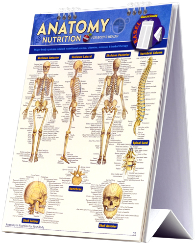 9781423222675 Anatomy & Nutrition Quickstudy Easel