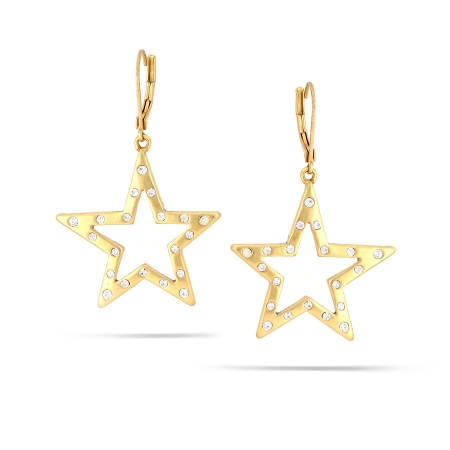 0900000009587 Gold-tone Metal White Crystal Star Earrings