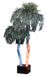Ap-7d Aquapalm Palm Tree, 4 Gal. Style