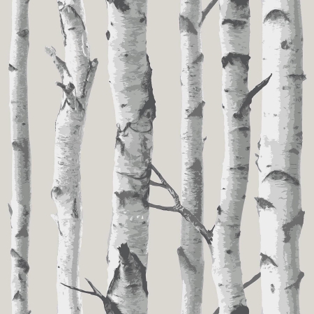 NU1650 Birch Tree Peel and Stick Wallpaper