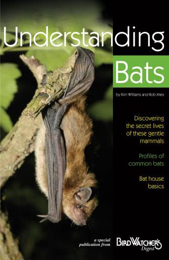 Bdbats Underst Ing Bats Booklet