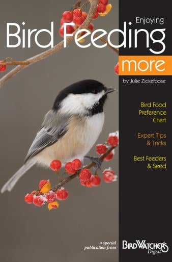 Bdfeeding Enjoying Bird Feeding & More Book