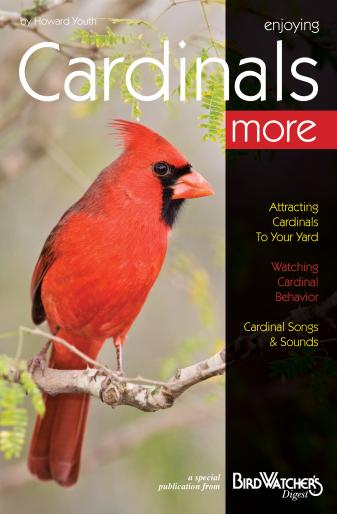 Bdcardinal Enjoying Cardinals & More Book