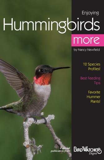 Bdhummer Enjoying Hummingbirds & More Book