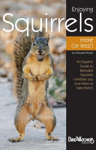 Bdsquirrels Enjoying Squirrels & More Book