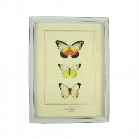 31522320 15.75 In. Botanic Beauty Decorative Green Butterfly Framed Print Wall Art