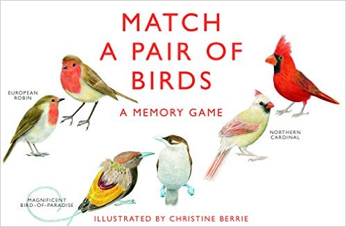 Cb9781856699662 Match A Pair Of Birds Memory Game