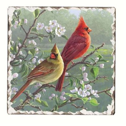 Counter Art Cart11182 Cardinals Number 1 Single Tumbled Tile Coaster