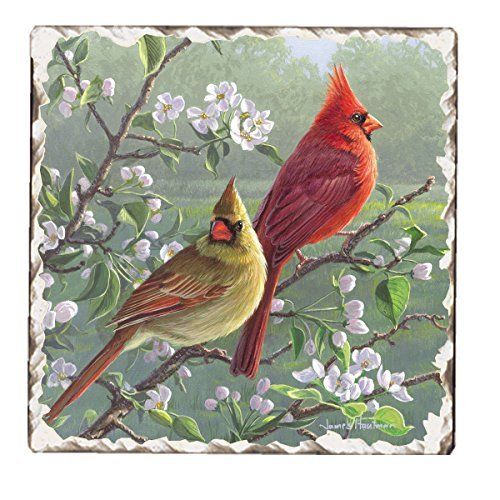 Counter Art Cart15980 Beautiful Songbirds Cardinals Trivet