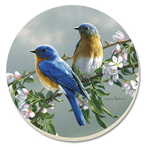 Counter Art Cart88470 Beautiful Songbirds Bluebirds Coasters, Set Of 4