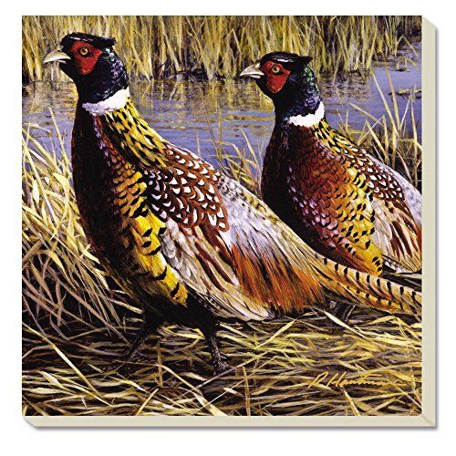 Counter Art Cart88492 Game Birds Pheasants Coasters, Set Of 4