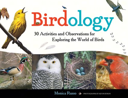 Ipg1613749494 Birdology Book, 8.5 X 11 X 0.2 In.