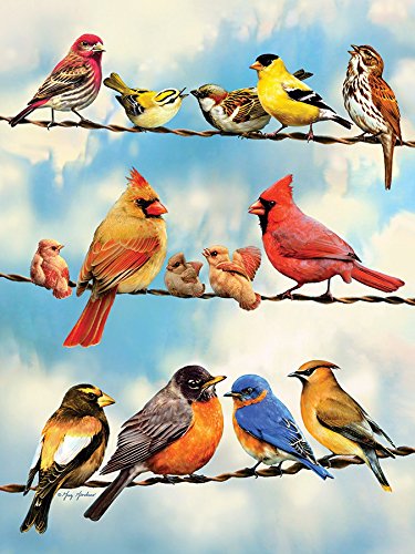 Om85034 Birds On A Wire- 500 Piece Puzzle