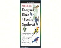 Lewersbbp119 Sibleys Backyard Birds Of The Pacific Northwest Posters