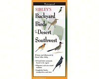 Lewersbbd122 Sibleys Backyard Birds Of The Desert Southwest Poster