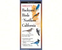 Lewersbnc120 Sibleys Backyard Birds Of Northern California Poster