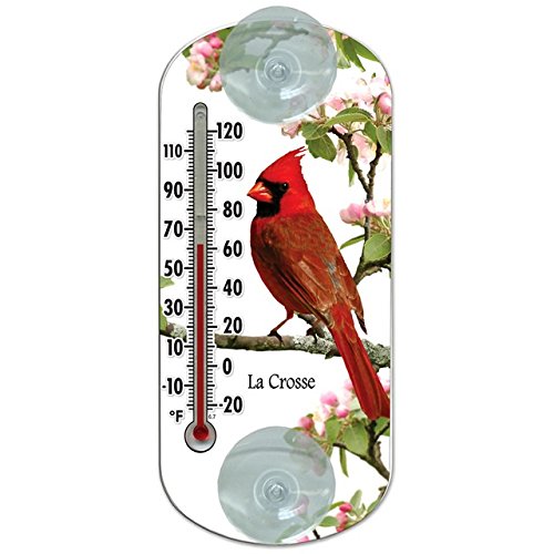 204-1081 8 In. Cardinal Tube Thermometer