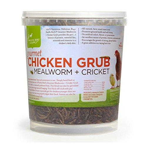 Pb-0050 Gourmet Chicken Grub Mealworm, 14 Oz