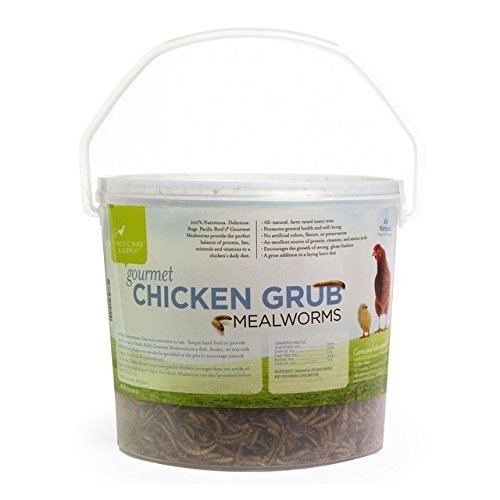 Pb-0051 Gourmet Chicken Grub Mealworm, 27 Oz