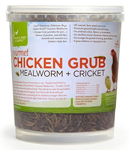 Pb-0052 Gourmet Chicken Grub Mealworm