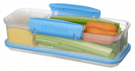 21479 Snack Attack Assorted Colors