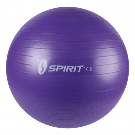 UPC 795447020024 product image for Spirit TCR 002002 Lavender Excrise Gymball | upcitemdb.com