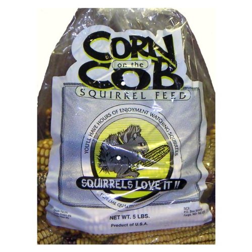 Chuckanut 10003 5 Corn On The Cob , Pack Of 8