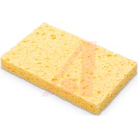 Sponge