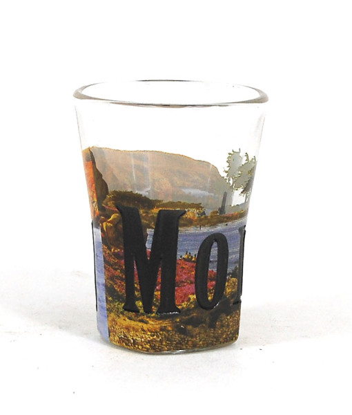 Sgmtr01 Monterey Full Color Etched Shot Glass