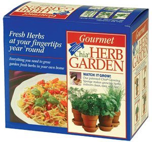 Joseph Enterprises HE 824-16
                              Gourmet Herb Garden- Case of 32