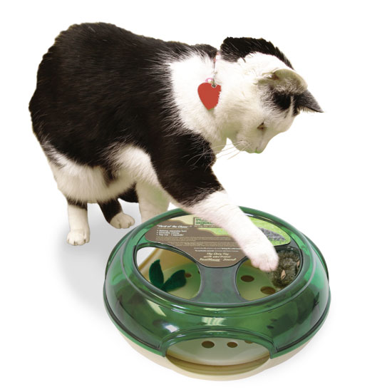 Play-N-Squeak Thrill Of The Chase Cat Toy