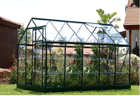 Systems Trading Rion 45608BL 6X10 Greenline Professional Greenhouse