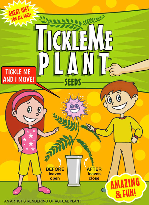 TickleMe Seed Packets - 6 packets