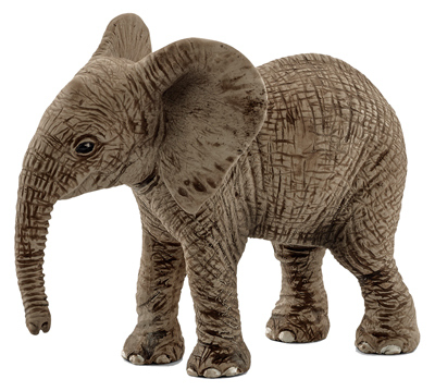 210671 African Elephant Calf