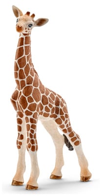 Giraffe Calf, Multicolor