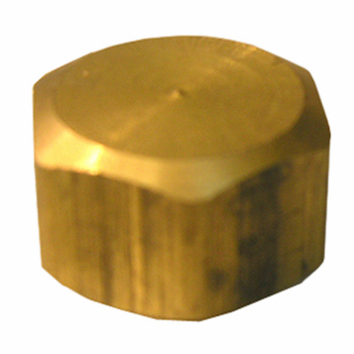 207991 0.625 In. Brass Compresion Cap