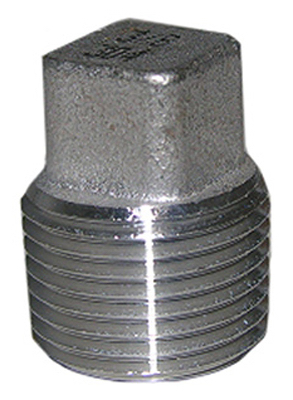 0.25 In. Stainless Steel Pipe Plug
