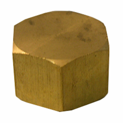 207990 0.5 In. Brass Compresion Cap