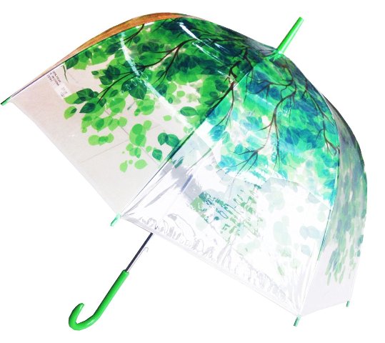 Conch Umbrellas