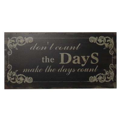 Fp-4146 Dont Count The Days Inscribed Wall Art - 11.75 X 1.5 X 23.75 In.