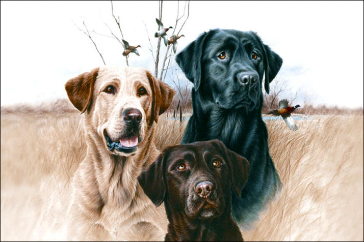Dm 54 Great Hunting Dogs Doormat, Brown