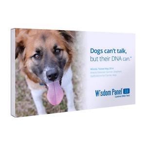 7639 Breed Identification Dna Test Kit For Dogs