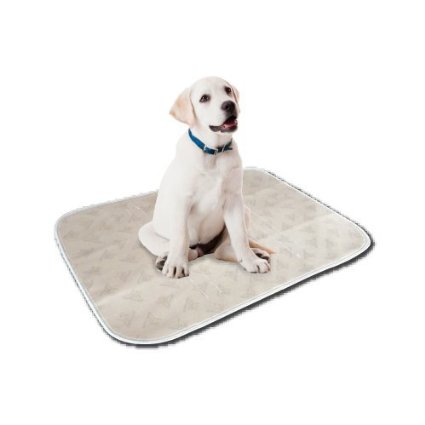 Pp20272 20 X 27 In. Reusable Absorbent Medium Potty Pad, White - Pack Of 2