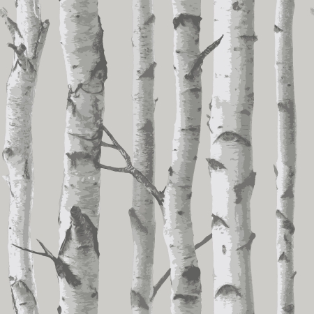 Nu1694 Mountain Birch Grey Peel & Stick Wallpaper