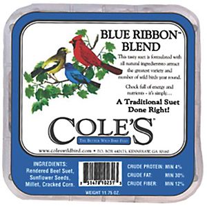 Coles Wild Bird Product 2968188 Brsu Birdseed Suet Blue Ribbon Blend