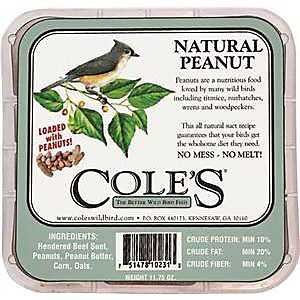 Coles Wild Bird Product 2968170 Npsu Seed Bird Suet Peanut