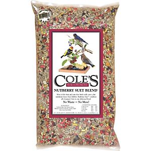 Coles Wild Bird Product 2967818 Nb05 Nutbry Suet Wild Bird Seed